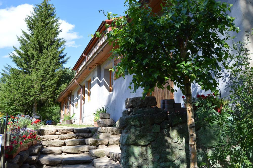 Pokoje Goscinne Arnika Gorska Szklarska Poręba Exterior foto
