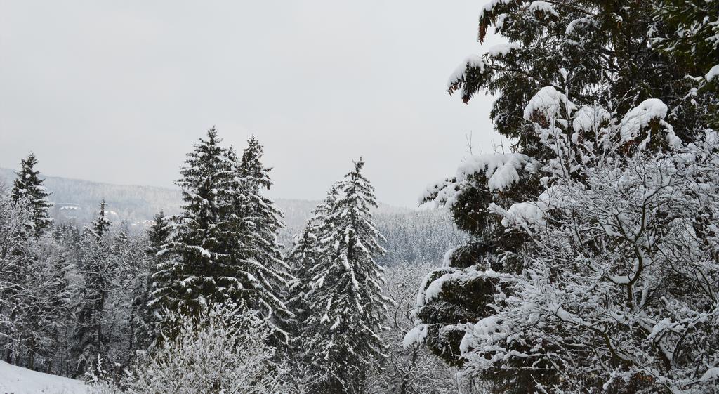 Pokoje Goscinne Arnika Gorska Szklarska Poręba Exterior foto